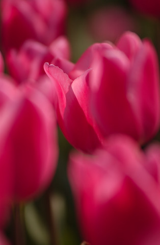 DSC_9696.jpg